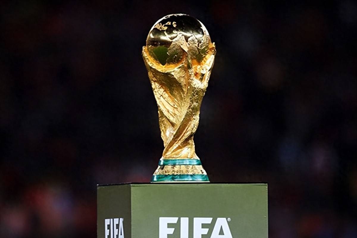 球迷们对这 球迷们对这