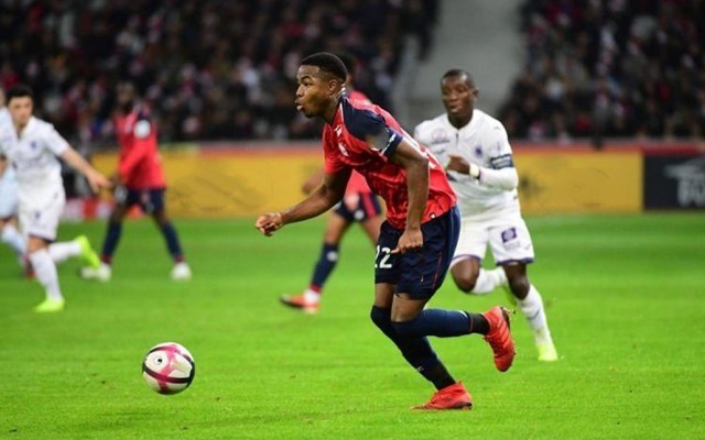 冷静处理球 冷静处理球