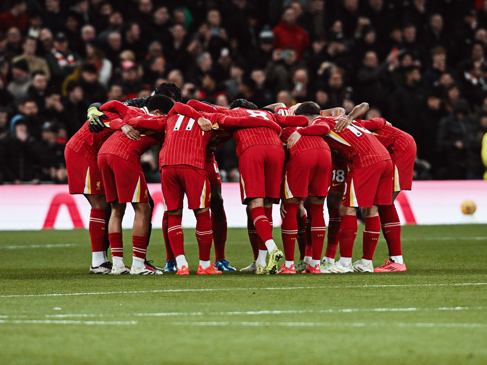 29岁便将 29岁便将